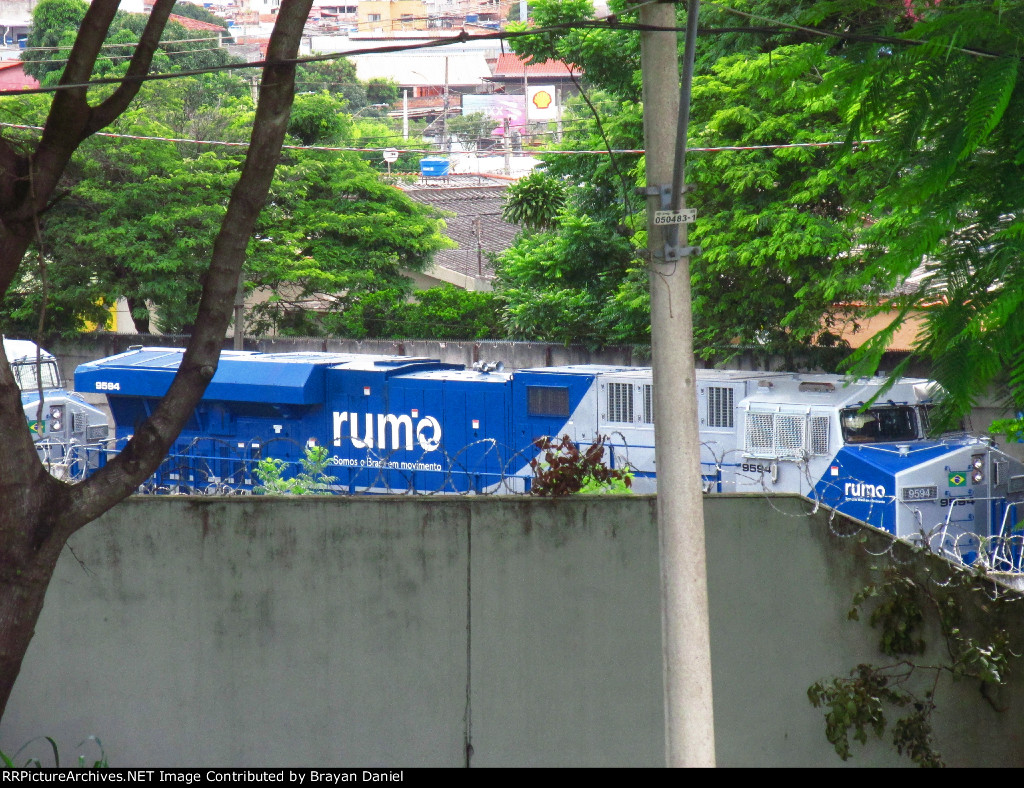 RUMO 9594
